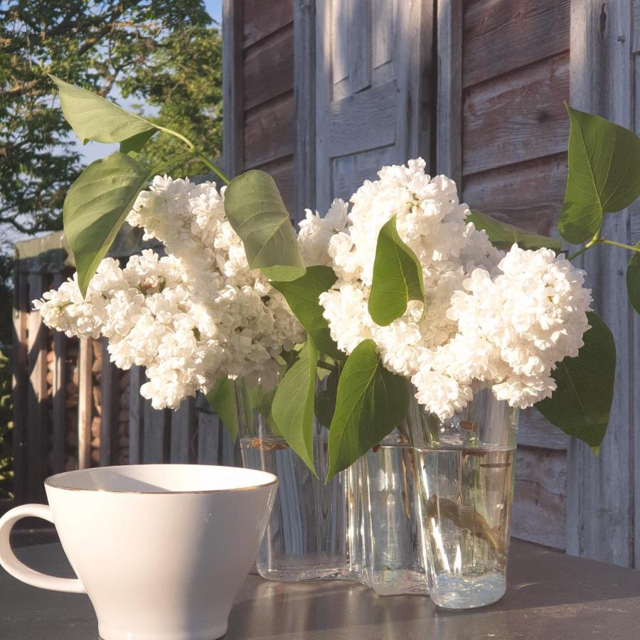 Ronehamn Bed And Breakfast Hemse Exteriör bild